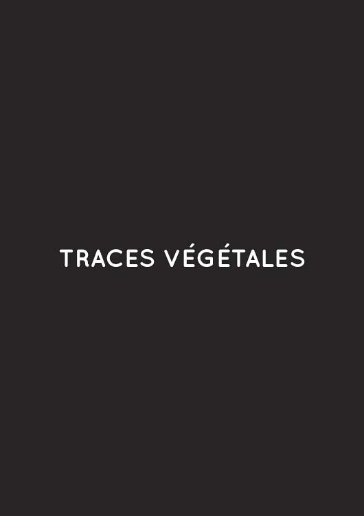 traces-vegetales.jpg